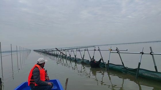 Gorden Boom yang Bermanfaat dan Ramah Lingkungan untuk Penumpukan Minyak